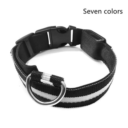 Nylon LED Dog Luminous Collar