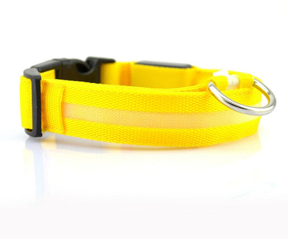 Nylon LED Dog Luminous Collar