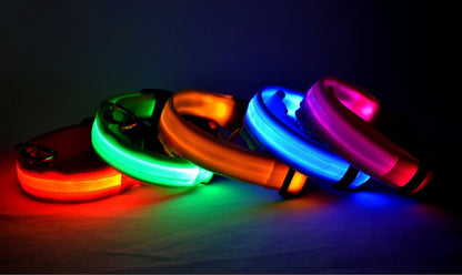 Nylon LED Dog Luminous Collar